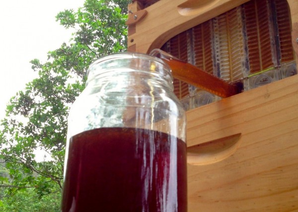 [图]Flow Hive:采集蜂蜜可以像打开水龙头一样简